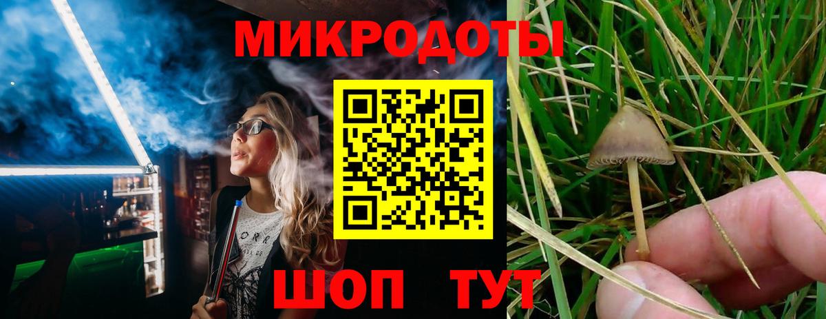 Галлюциногенные грибы Cubensis  наркотики  Петропавловск-Камчатский  Вход с VPN 